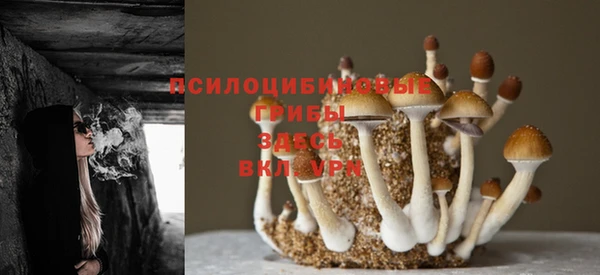бошки Михайловск