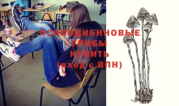 МДМА Михайловка