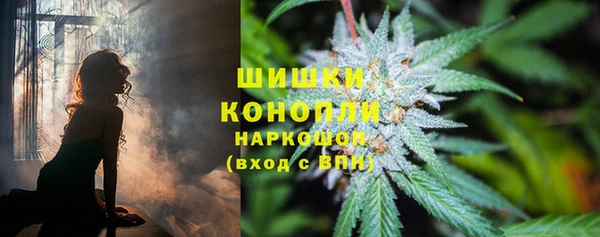 гидропоника Алапаевск