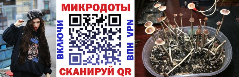 Галлюциногенные грибы ЛСД  мега зеркало  Хасавюрт  наркота 