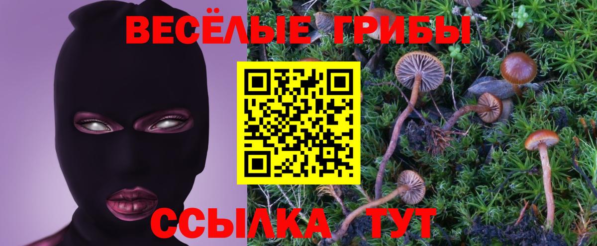 Псилоцибиновые грибы GOLDEN TEACHER Хасавюрт