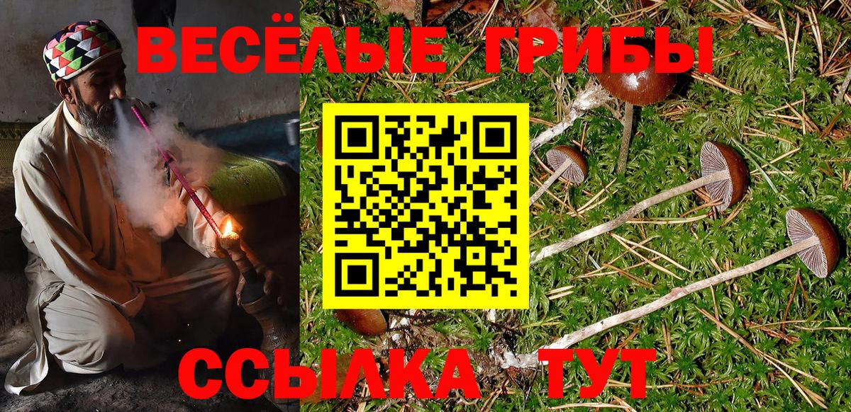 Галлюциногенные грибы Psilocybine cubensis  Галлюциногенные грибы мицелий  Вход с VPN  Хасавюрт 